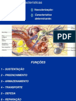 histologia_tecido_conjuntivo slide 1