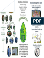 Infografía ECOFIIS.pptx.pdf