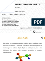 AMINAS, AMIDAS Y NITRILOS EXPOSICION.ppt