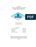 Makalah Jejaring Sistem Surveilans PDF