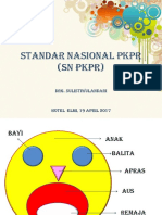 Standar Nasional PKPR
