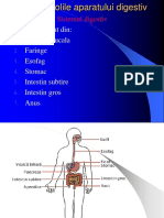 Dieta in Bolile Aparatului Digestiv