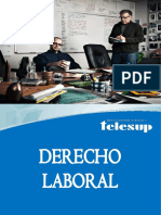 Texto_Diagramado_Derecho_Laboral (1).pdf