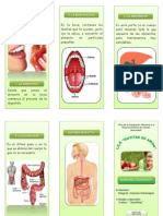 TRIPTICO SISTEMA DIGESTIVO.docx