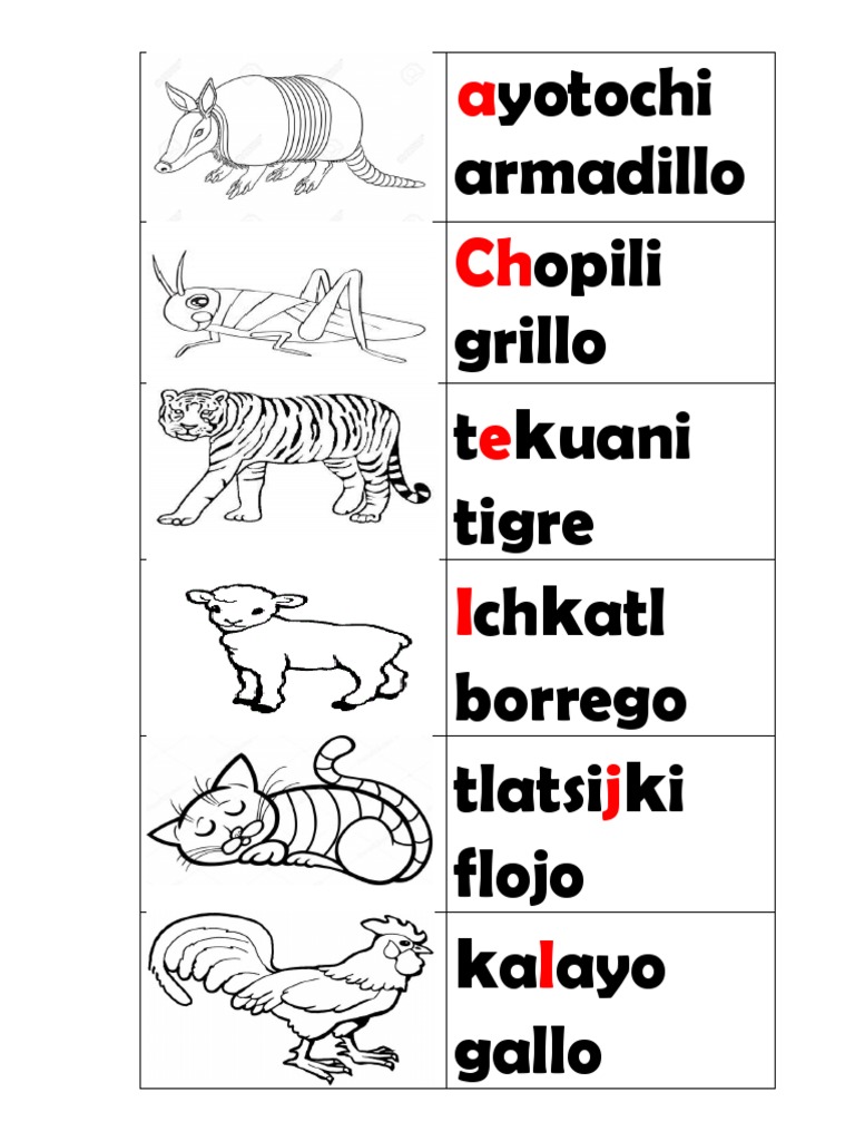 Alfabeto Nahuatl Con Dibujos de Animales