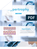 Hypertrophy WPS Office