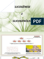 Aula 19 - Glicogênese e glicogenólise.pptx