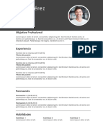 Plantilla CV 1 Gratis InfoJobs