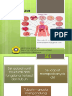 Sel Dan Struktur Jaringan