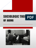 SOCIOLOGIC THEORY_.pptx