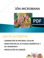 4 - Nutricion Microbiana