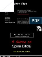 Expert's Things = Pleno Lecture Spina Bifida Blok 4 2015