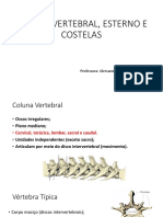 Slides Coluna Vertebral, Costelas e Esterno PDF