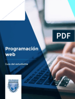 Guia Programacion Web