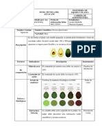 Ficha Tecnica Aguacate