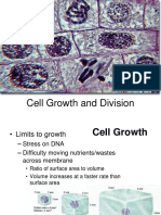 Cell Growth and Division