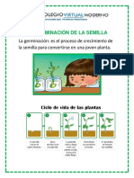 La Germinación de La Semilla s5 b4