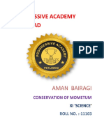 Conservation of Momentum Project Report