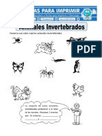 Ficha de Animales Invertebrados para Primaria