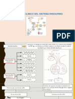 Laboratorio Clinico Del Sistema Endocrino