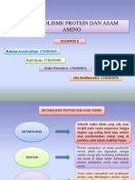 Metabolisme