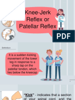 Knee-Jerk Reflex or Patellar Reflex Definition