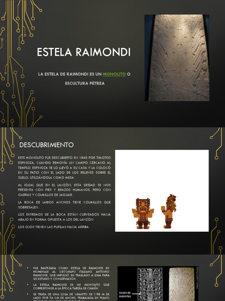 Estela Raimondi | PDF | Naturaleza