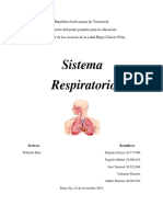  Sistema Respiratorio