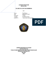 Solubilitas Lipid