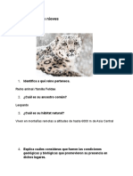 Leopardo de Las Nieves