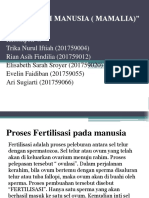 Kel 4 Fertilisasi Manusia