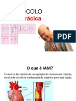 Protocolo de Iam