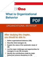 Organizatonal Behaviour 