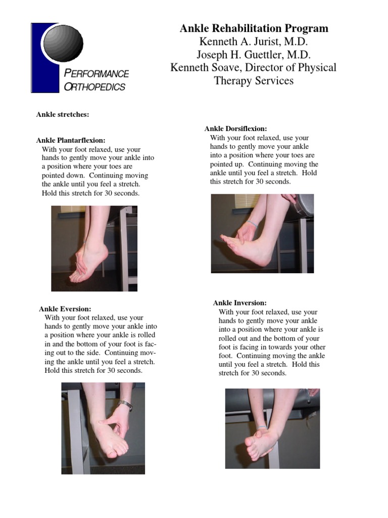 Lower Extremity Physical Therapy Exercises PDF Anatomical Terms Of