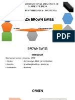 Raza Brown Swiss: Características y adaptación