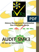 Audit Smk3