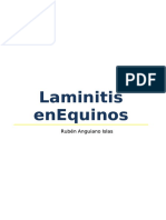 Laminitis en Caballos Metodologia