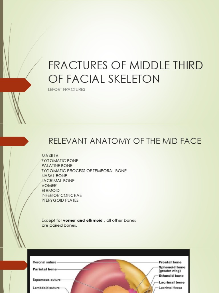 Le Fort III Fracture Overview and Management | PDF | Human Head And ...