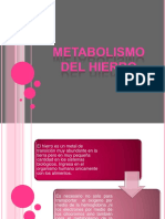 7 Metabolismodelhierro 130813165002 Phpapp02 PDF
