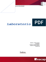 242140360-Informe-Lab-2-Quimica-minera-docx.docx