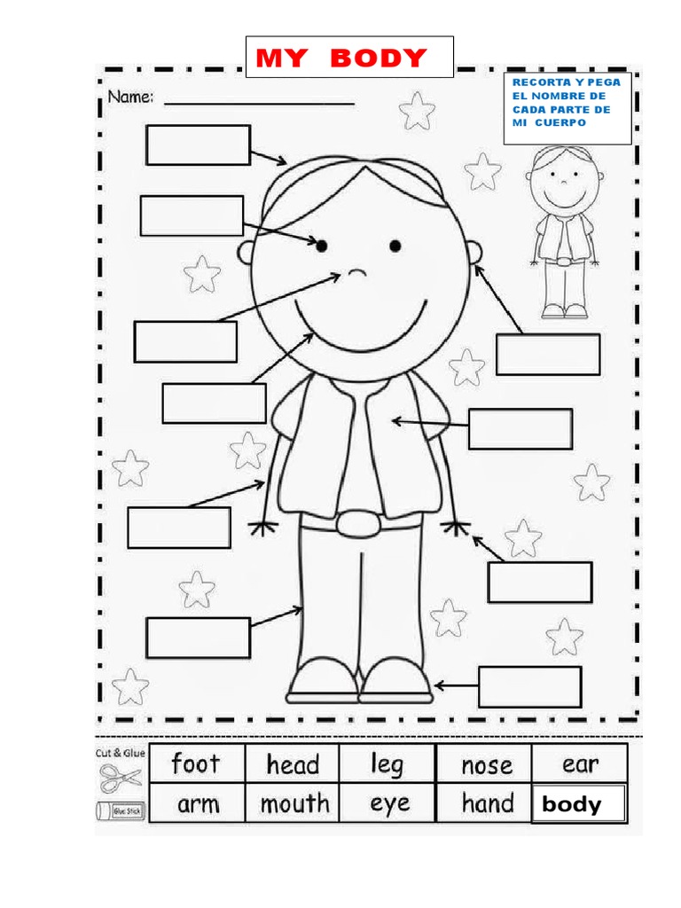 Partes Del Cuerpo En Ingles Para Nios Abc Fichas