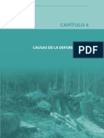 MAPA DE LA DEFORESTACION_Parte5.pdf