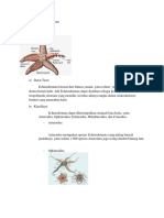 Phylum Echinodermata dan Arthropoda