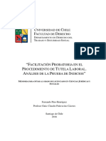 Facilitación Probatoria en El Procedimiento de Tutela Laboral Análisis de La Prueba de Indicios PDF