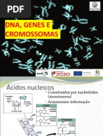 Ppt Dna, Genes e Cromossomas