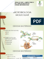 Microbiologia Molecular