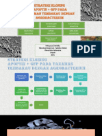 Kloning Tanaman Apoptin GFP Pada Tembaka