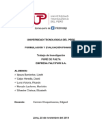 TI PALTIPURI S.A. Formulacion y Evaluacion Financiera