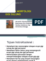 Morfologi Gigi Sulung