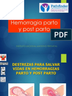 5.b. Hemorragias P y PP 2018